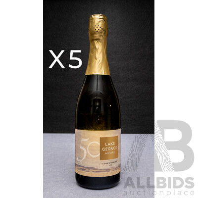 Lake George Winery Elaine Sparkling Vintage 2019 X 5