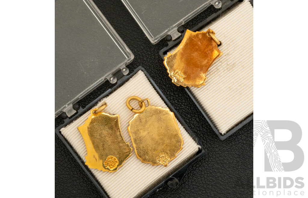 Lions Club (3) Vintage 1/5 10K GF Medallion Pendants, Chairman/Treasurer, 20mm X 15mm Each