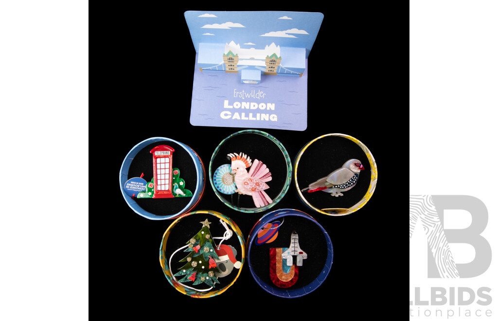 Erstwilder Collection (5) Resin Brooches - NEW in Original Packaging
