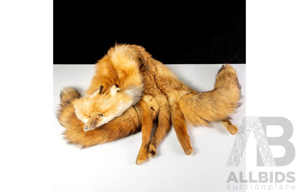 Vintage Fox Fur Stole with Dual Tails
