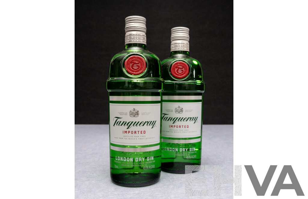 Tanqueray Imported Dry Gin X 2