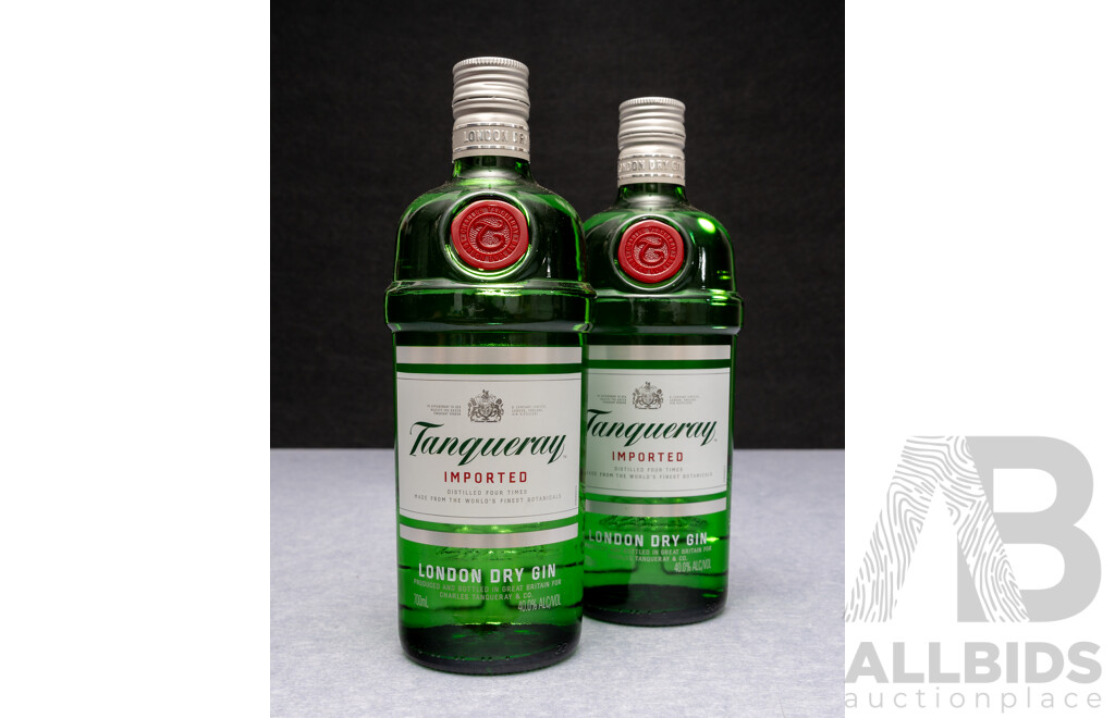 Tanqueray Imported Dry Gin X 2