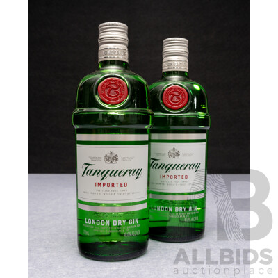 Tanqueray Imported Dry Gin X 2