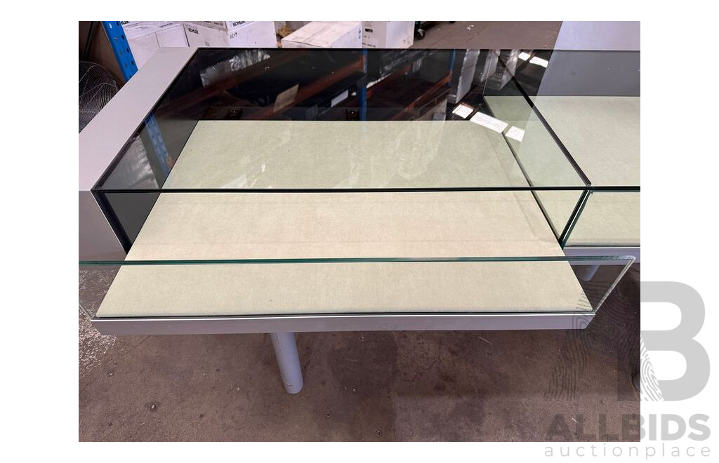 Museum Display Cabinets - Set of 2