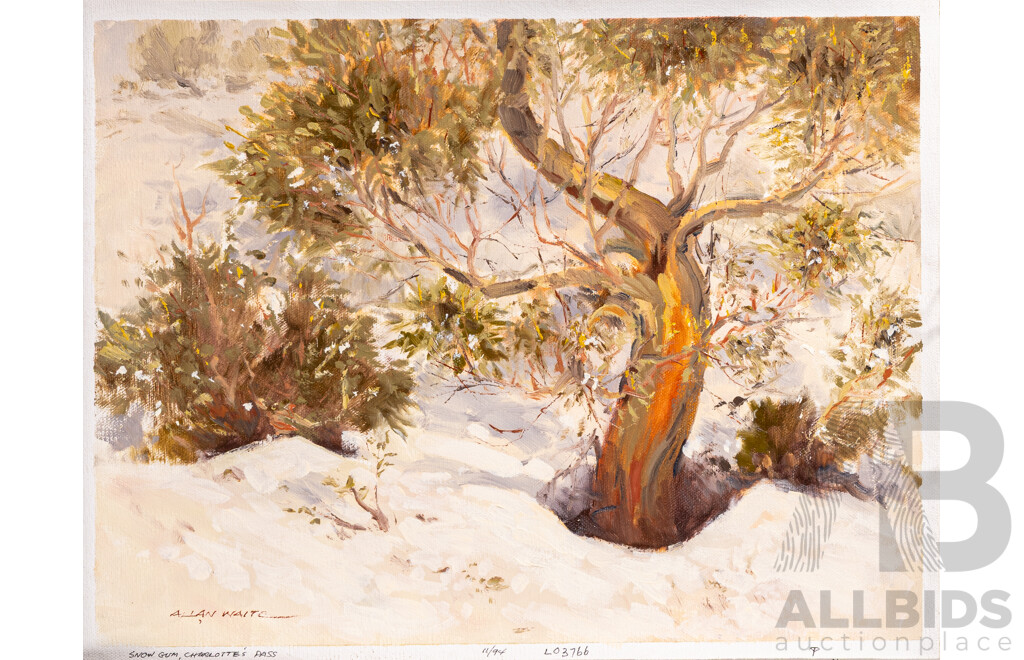 Allan Waite, (20th C., Australian, 1924-2010), Country (Jindabyne Etc), Approx 38 Artist's Works - Oils Largely Related to Jindabyne; Watercolours Inc. Two War Portraits, Images of PNG & Korea, 32 x 42 cm (largest canvases)