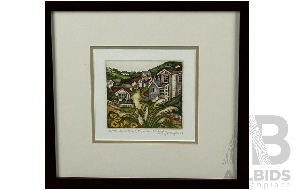 Mary E. Taylor, (20th Century, New Zealander, 1948-), Ascot Street, Thorndon, Wellington, (2007), Hand Coloured Limited Edition Etching, 34.5 x 34.5 cm (frame)