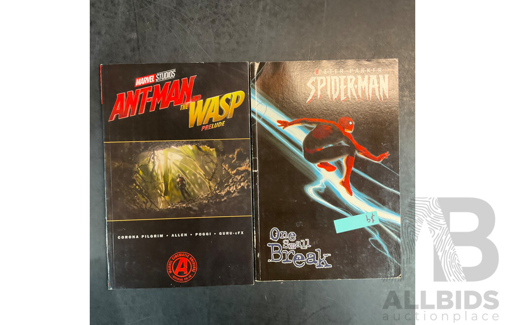 Collection of Comic Book & Book Included KNULL, IRON MAN and More - Lot of 25