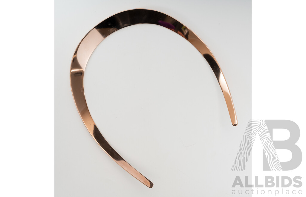 NEW - Torini Rose Gold Tone Stainless Steel Silver Tone Neck Collar, 11cm Diameter, with Packaging
