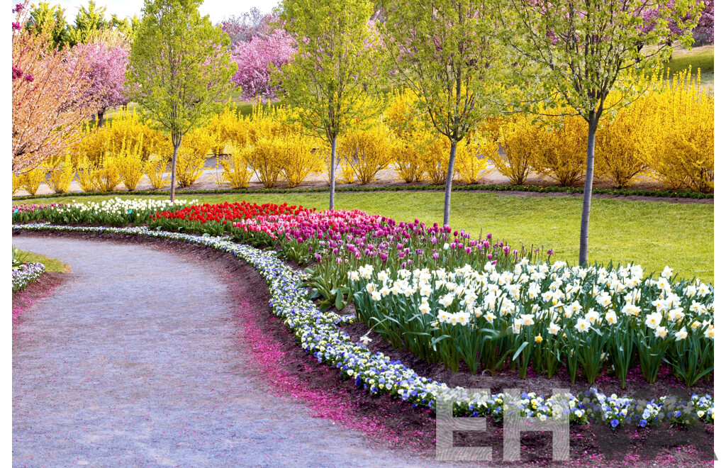 L19 - Experience Tulip Top Gardens