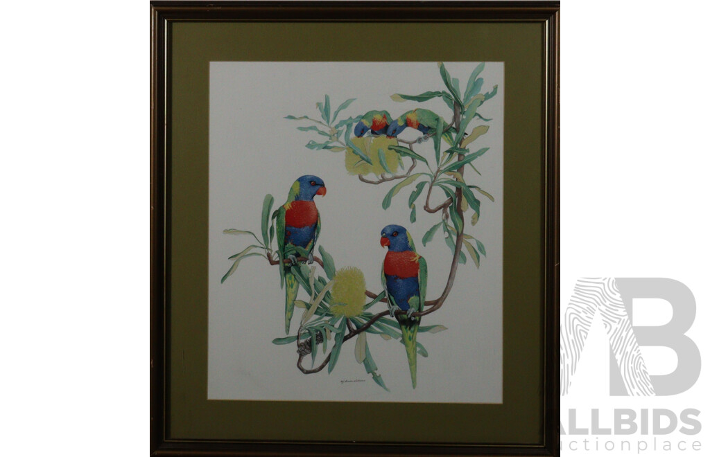 Kay Breeden Williams (20th Century, Australian, 1939-.), Rainbow Lorikeets on Native Bottle Brush, Quality Reproduction Print of Original Watercolour, 54 x 49 cm (frame)