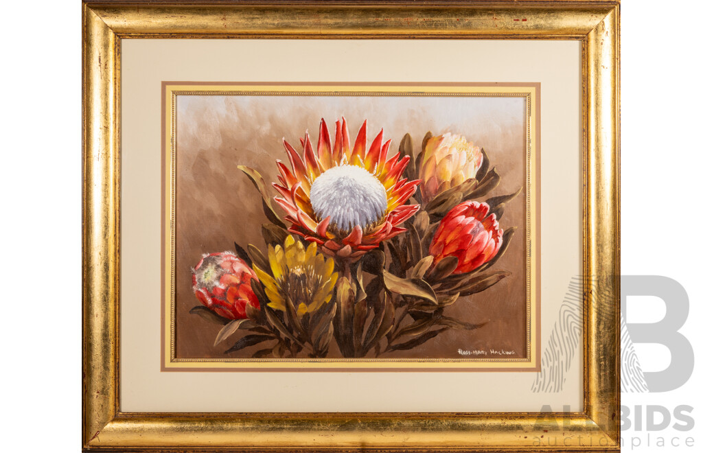 Rosemary Hacking, (20th Century, South African), Proteas, Wonderful Original Oil on Canvas Board, 76 x 91 cm (frame)