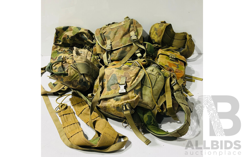 Collection of Military Webbing, Pouches, Canteens and More