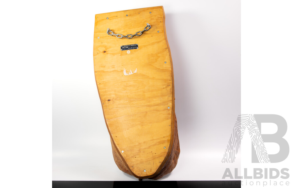 Fantastic Hand Made Australian Mirror in Mumbulla Red Gum by John Boland, Mogo Studio 1994