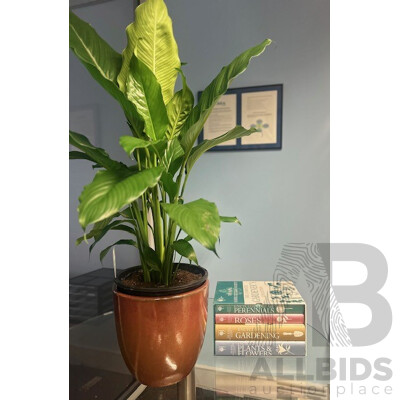 Green Thumbs Bundle