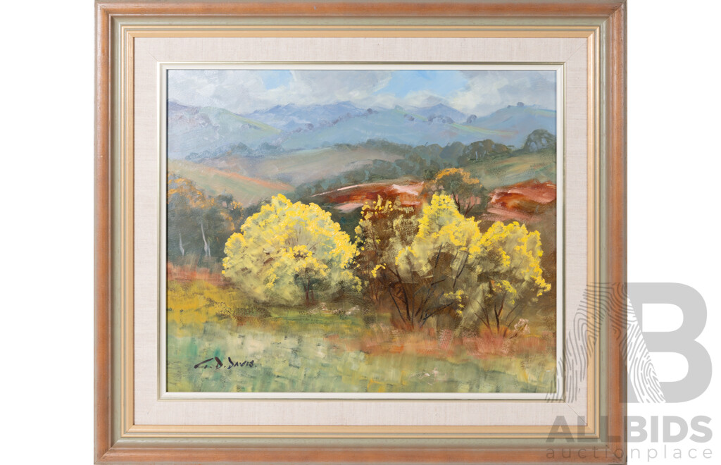Geoffrey Davis, (20th Century, Australian, 1926-), Golden Wattle, Oil on Board, 52 x 60 cm (frame)