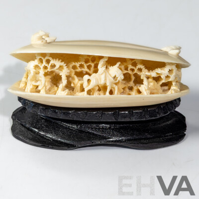 Chinese Hand Carved Ivory Scene in Carved Ivory Bi Valve Seashell on Wooden Stand