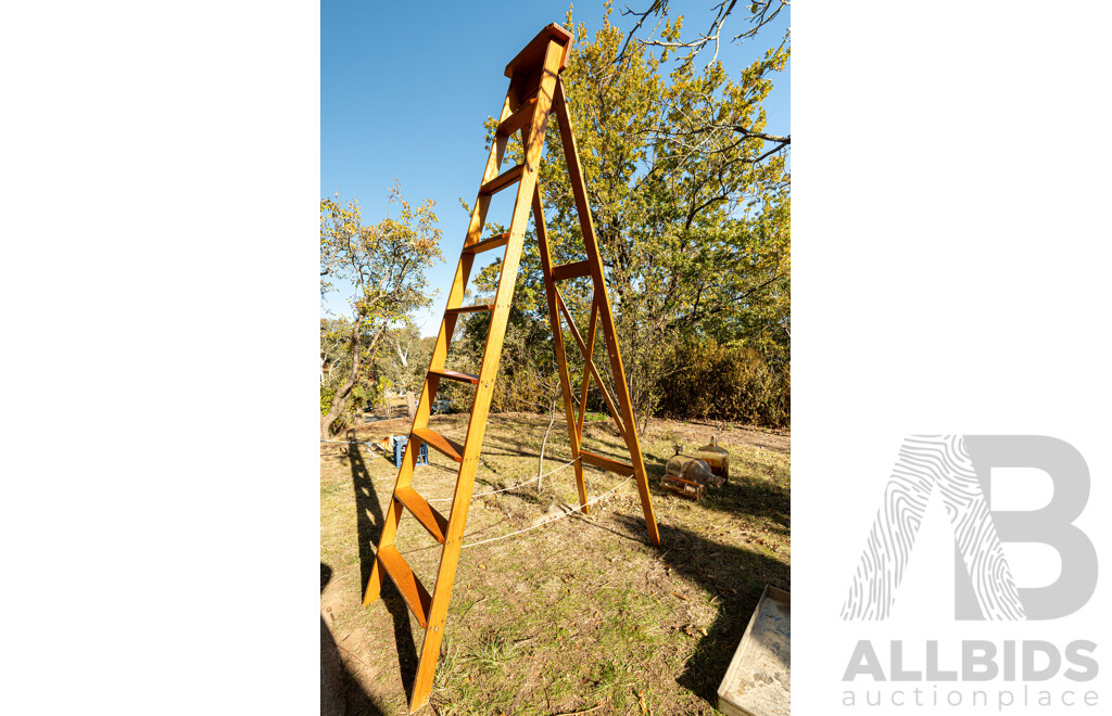 Vintage Handcrafted 8 Rung, Euro Style Timber Ladder