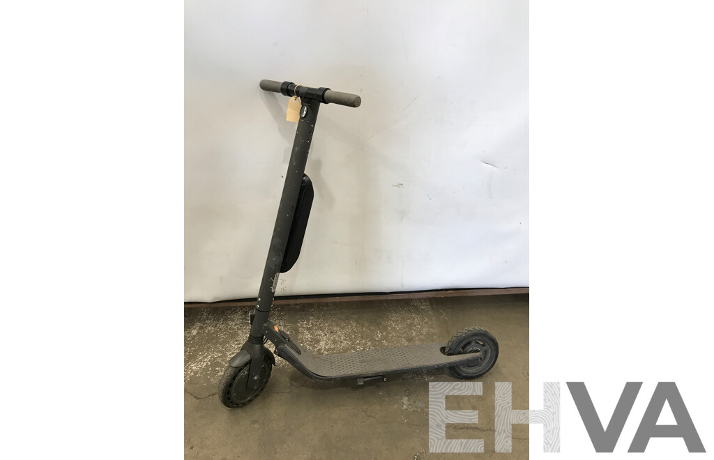 Ninebot Electric Kick Scooter