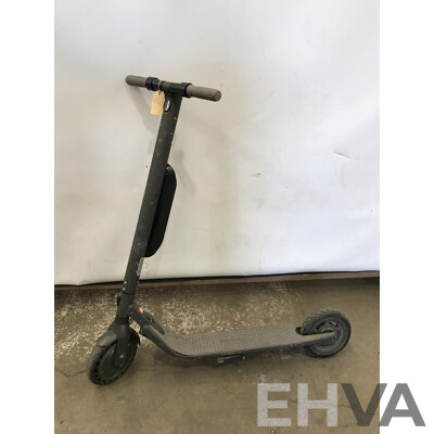 Ninebot Electric Kick Scooter