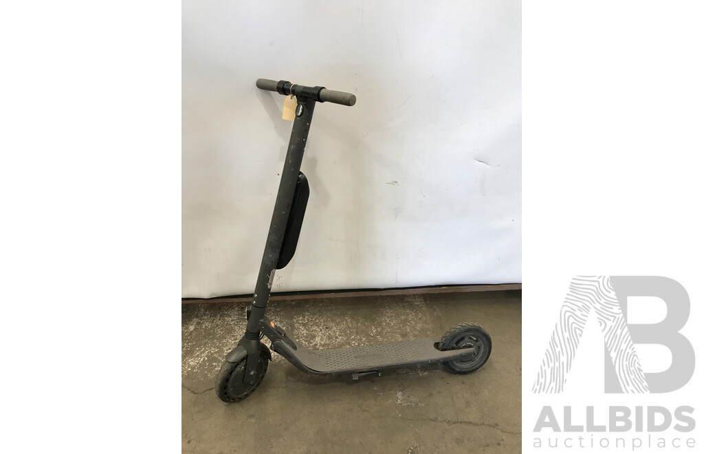 Ninebot Electric Kick Scooter