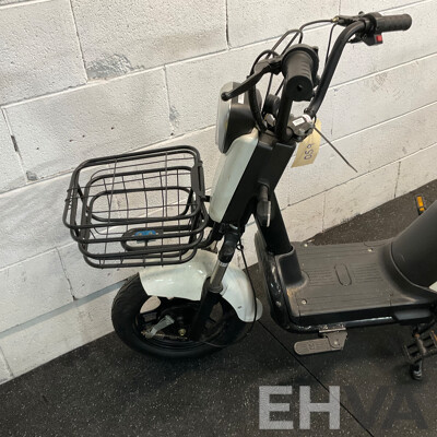 AJLN Electric Bicycle with Paddle