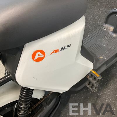 AJLN Electric Bicycle with Paddle