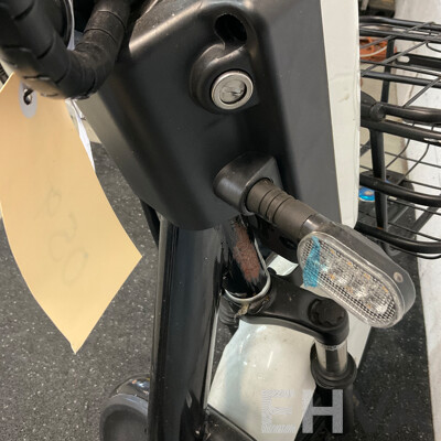 AJLN Electric Bicycle with Paddle