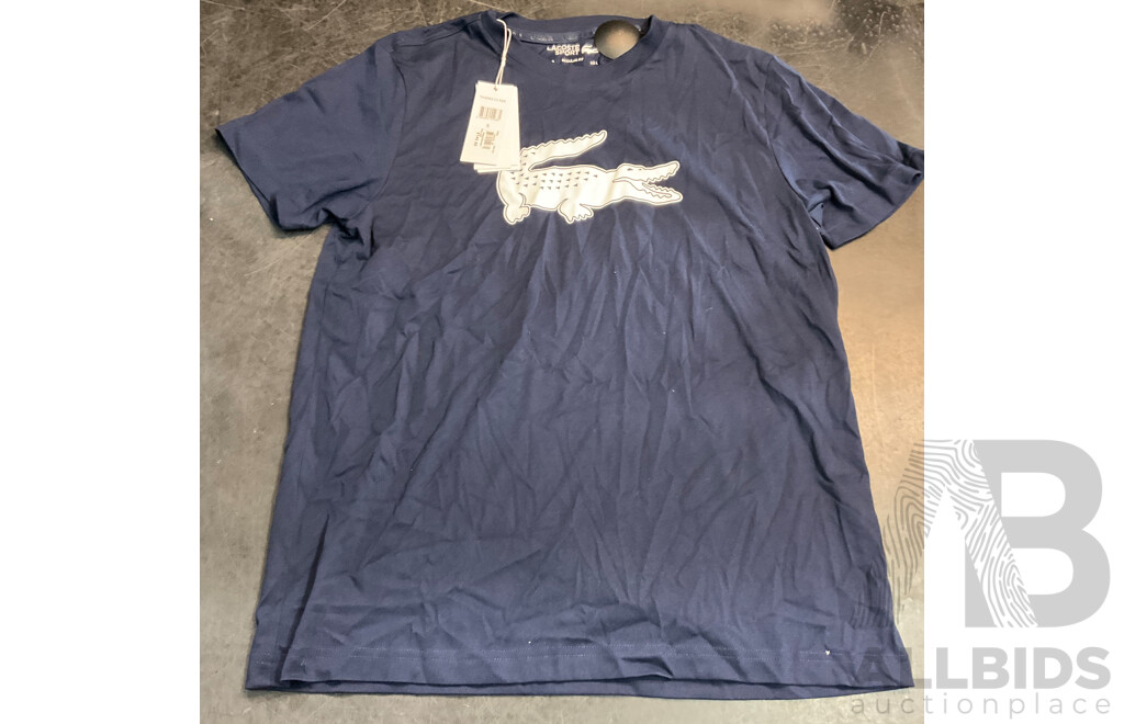THRILLS Jumpers (S/M) & LACOSTE T-Shirt (L) & INDUSTRIE Pants (M) - Lot of 4