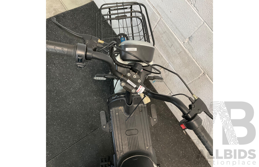 AJLN Electric Bicycle with Paddle