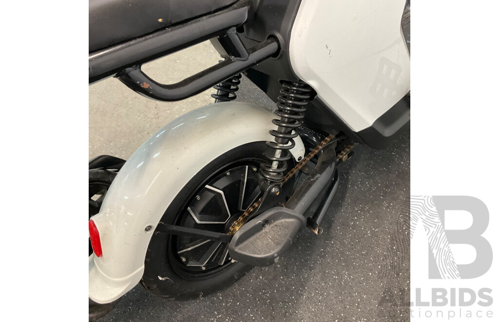 AJLN Electric Bicycle with Paddle