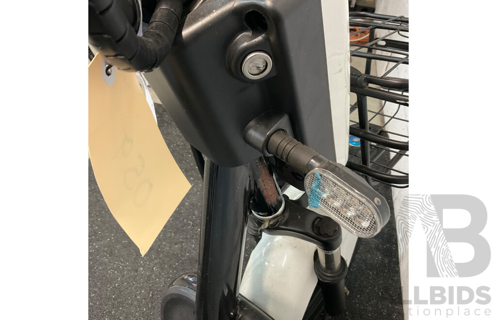 AJLN Electric Bicycle with Paddle