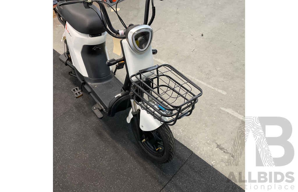 AJLN Electric Bicycle with Paddle