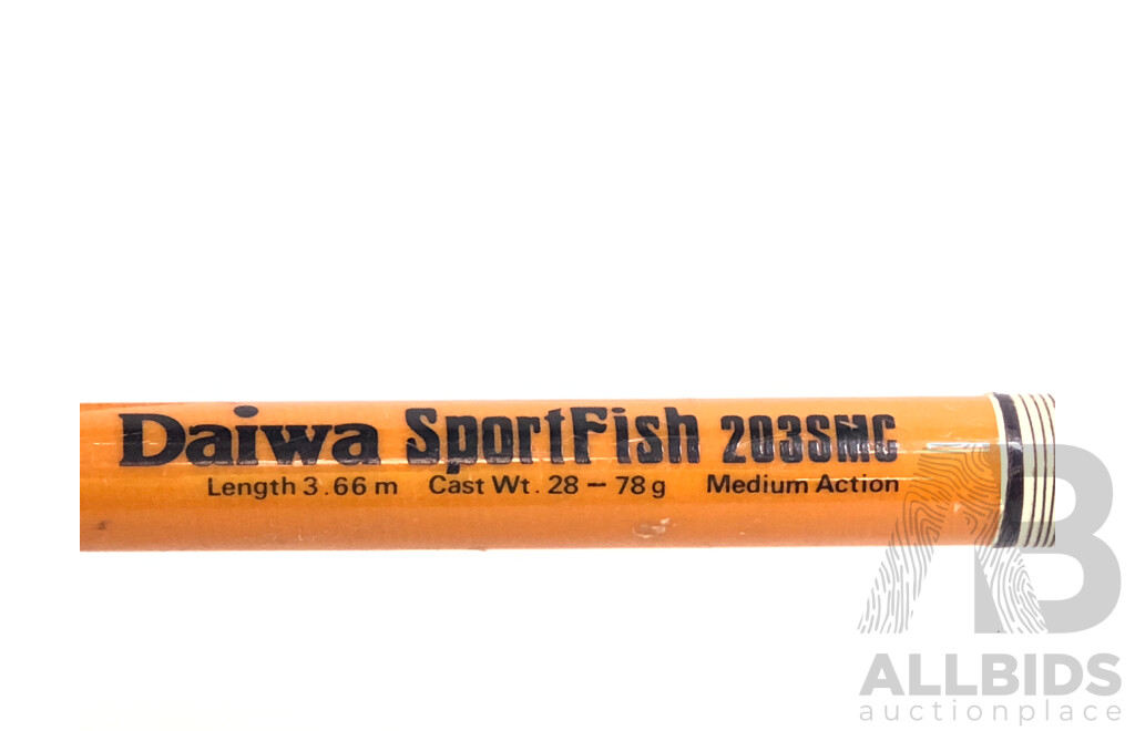 Daiwa SportFish 203SMC 3.66 Meter(12 Foot) Surf Fishing Rod with DAM Quick BC265 Spin Reel