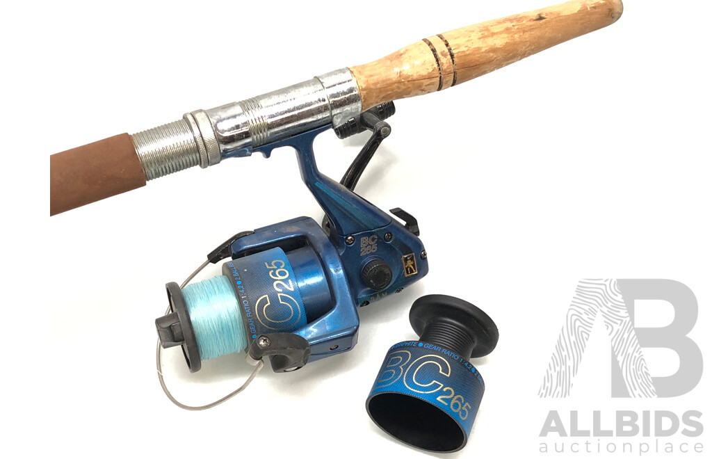 Daiwa SportFish 203SMC 3.66 Meter(12 Foot) Surf Fishing Rod with DAM Quick BC265 Spin Reel