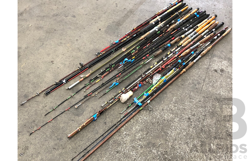 Selction of Various Fishing Rods - Lot of 24