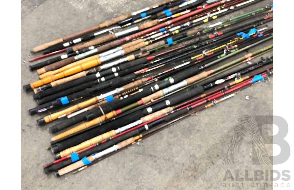 Selction of Various Fishing Rods - Lot of 24