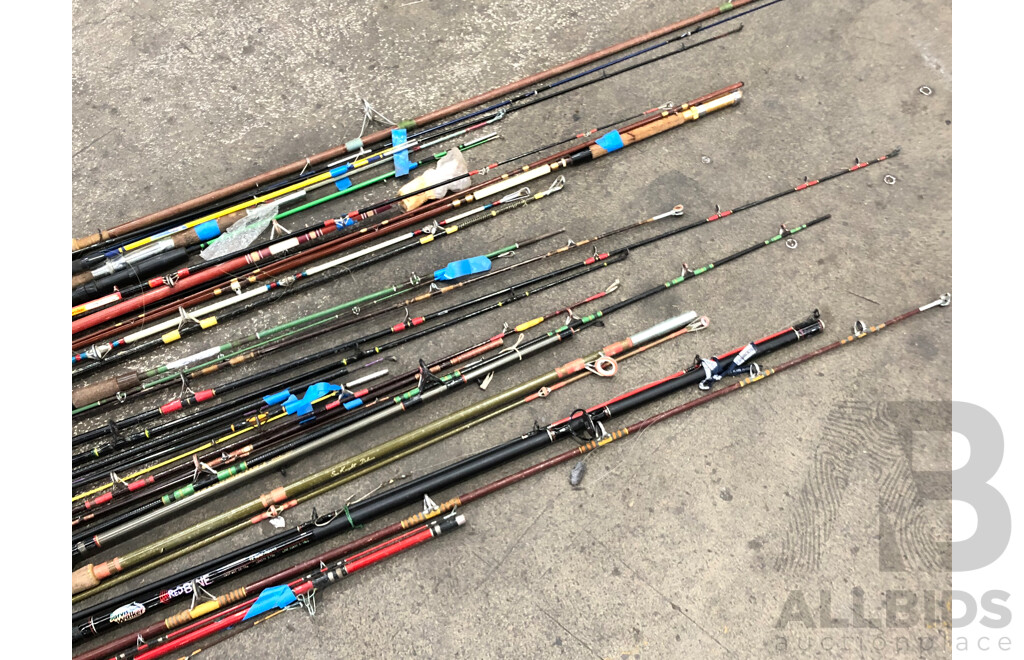 Selction of Various Fishing Rods - Lot of 24