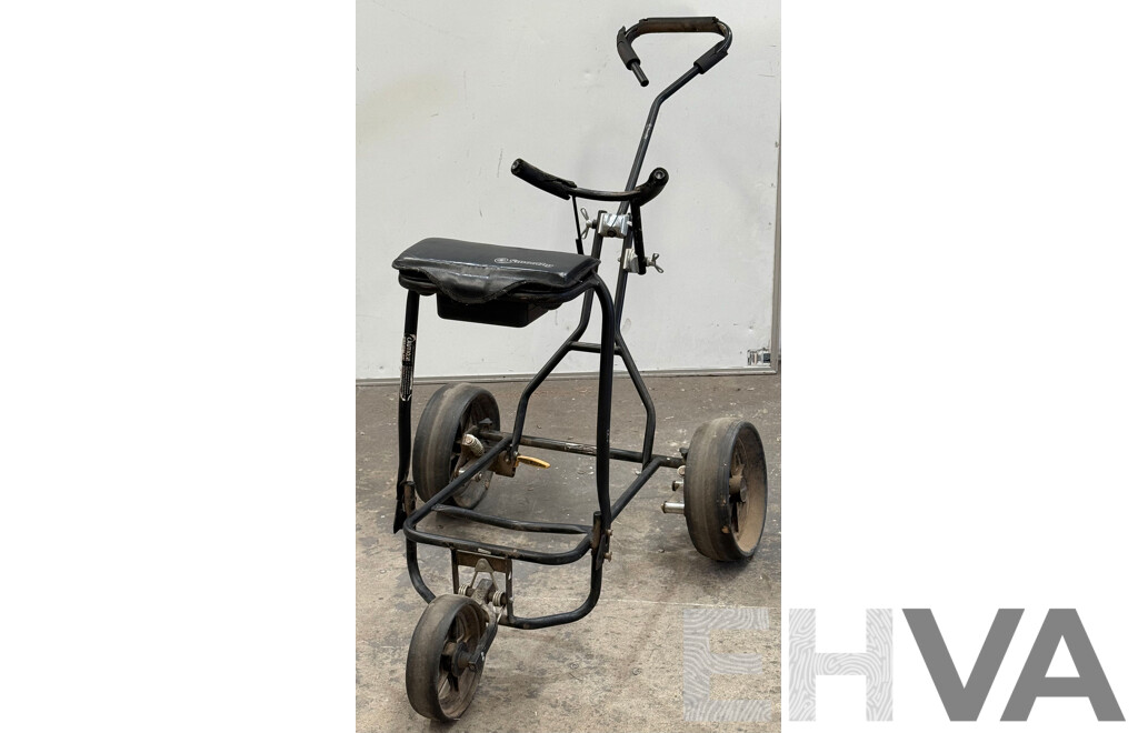Smoothy Golf Cart