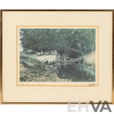 Frederick B. Hodges (19/20th Centuries, American, 1868-1955), Fantastic Set of Four Vintage 'Heritage Keepsake Prints' Nature Photographs, 38 x 29 & 30 x 36 cm (frames) (4)