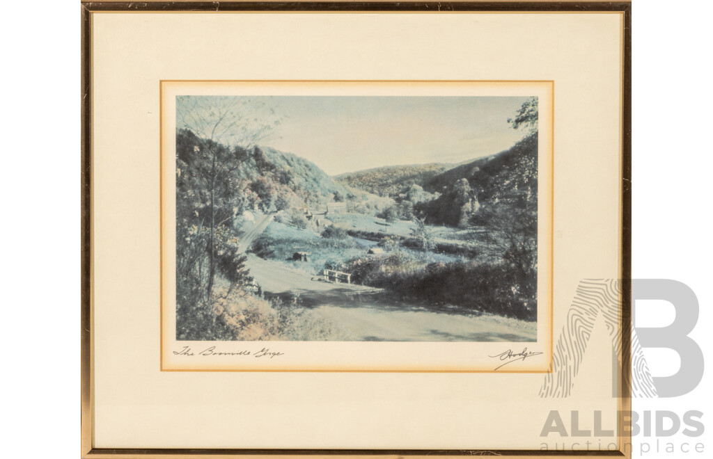 Frederick B. Hodges (19/20th Centuries, American, 1868-1955), Fantastic Set of Four Vintage 'Heritage Keepsake Prints' Nature Photographs, 38 x 29 & 30 x 36 cm (frames) (4)