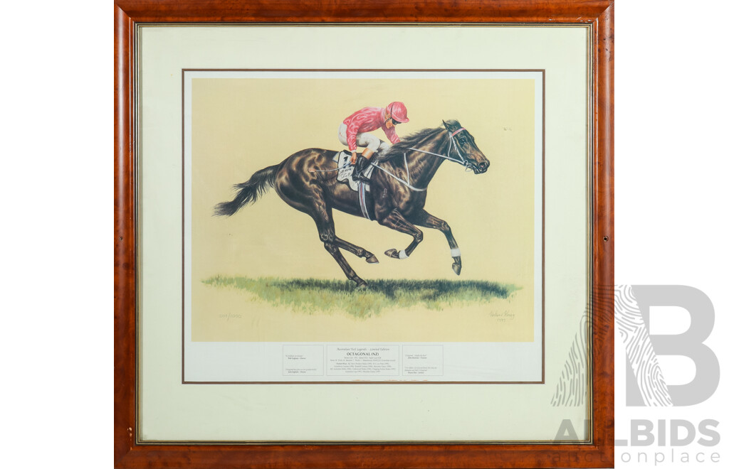 Octagonal (NZ) Framed Limited Edition Print by Helen King 1997