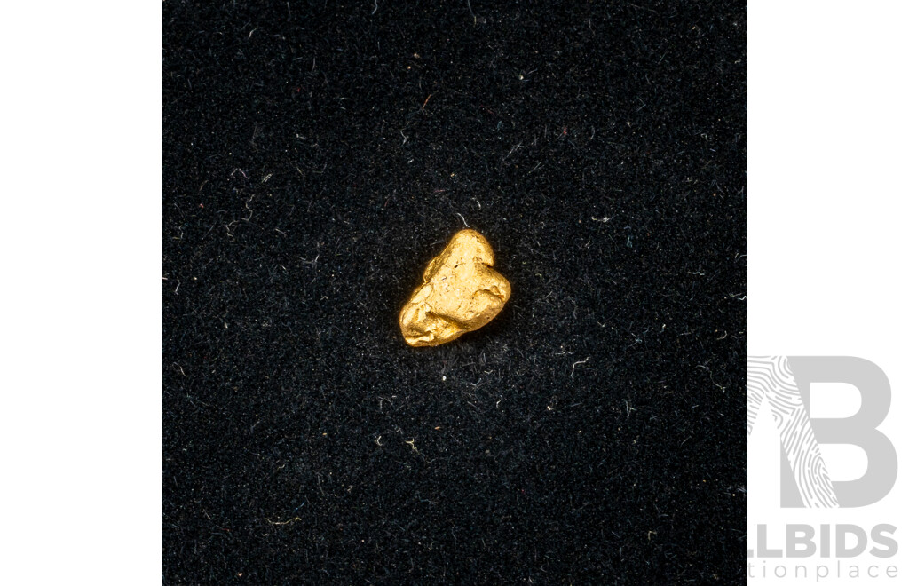 Gold Nugget - 22ct+ Natural Small Specimen, 4.85mm, 0.26 Grams