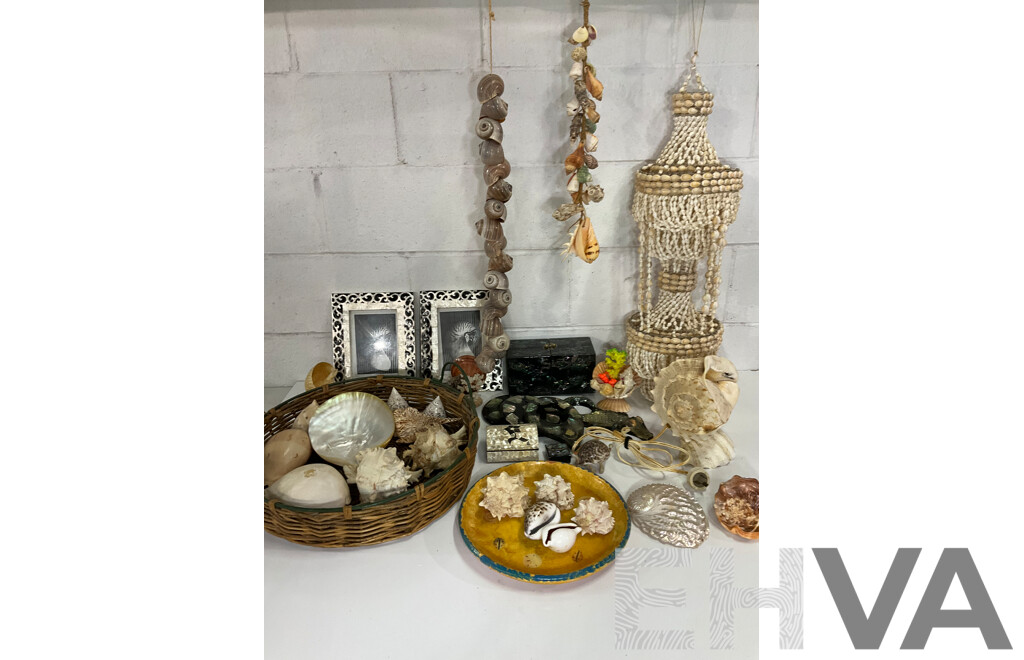 Large Collection of Sea Shell, Including Shell Lamp, Sea Shell Chandelier, Abalone Shell Art, Hot Plate Trivets, Mother of Pearl Shell and More