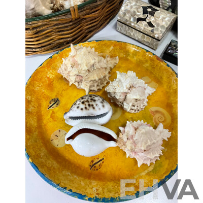 Large Collection of Sea Shell, Including Shell Lamp, Sea Shell Chandelier, Abalone Shell Art, Hot Plate Trivets, Mother of Pearl Shell and More
