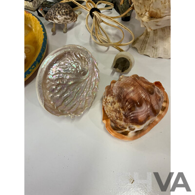 Large Collection of Sea Shell, Including Shell Lamp, Sea Shell Chandelier, Abalone Shell Art, Hot Plate Trivets, Mother of Pearl Shell and More
