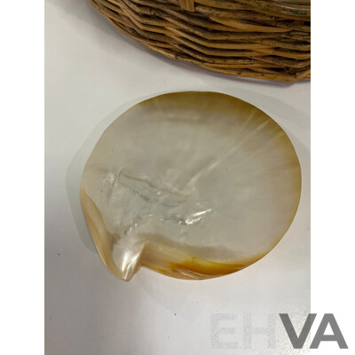 Large Collection of Sea Shell, Including Shell Lamp, Sea Shell Chandelier, Abalone Shell Art, Hot Plate Trivets, Mother of Pearl Shell and More