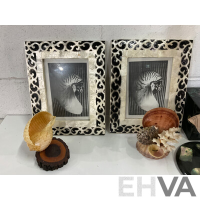 Large Collection of Sea Shell, Including Shell Lamp, Sea Shell Chandelier, Abalone Shell Art, Hot Plate Trivets, Mother of Pearl Shell and More
