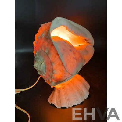 Large Collection of Sea Shell, Including Shell Lamp, Sea Shell Chandelier, Abalone Shell Art, Hot Plate Trivets, Mother of Pearl Shell and More