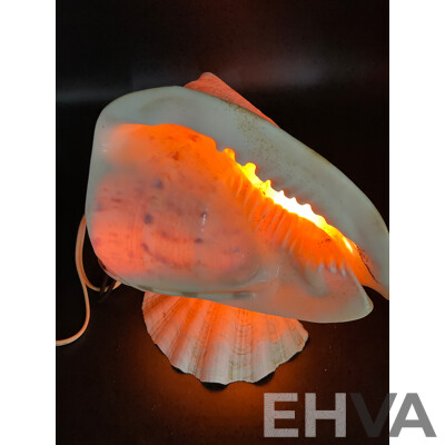 Large Collection of Sea Shell, Including Shell Lamp, Sea Shell Chandelier, Abalone Shell Art, Hot Plate Trivets, Mother of Pearl Shell and More