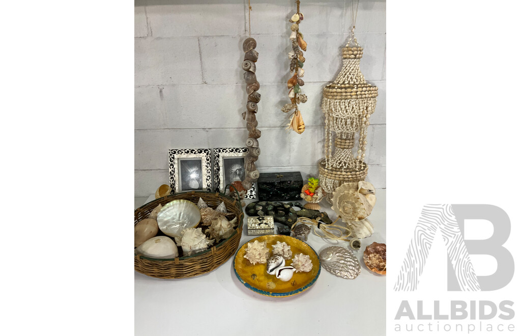 Large Collection of Sea Shell, Including Shell Lamp, Sea Shell Chandelier, Abalone Shell Art, Hot Plate Trivets, Mother of Pearl Shell and More